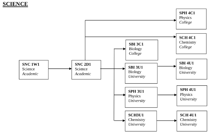 Science flowchart